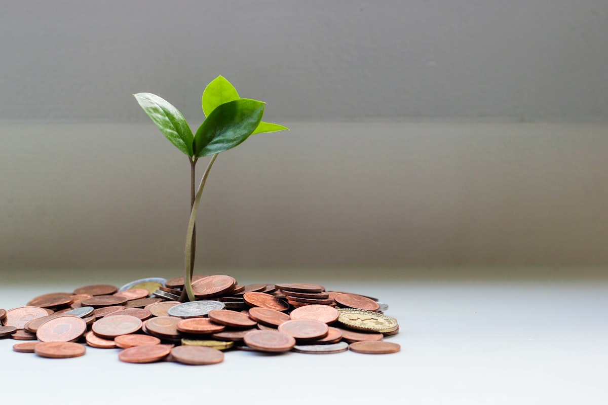 Coins and a small plant illustrating personal savings and funding